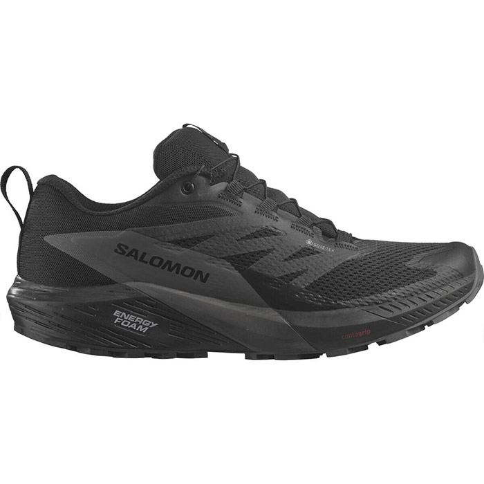 Sort Salomon Sense Ride Gtx Magnet Fodtøj - Salomon Horseriding  - 0195751227971