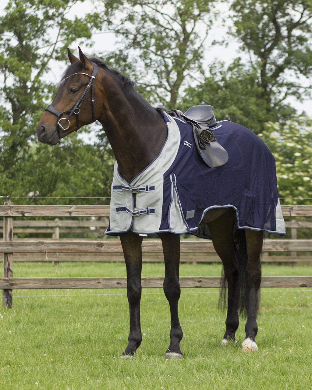 Qhp Ride Insektdækken Med Hals 145 - Qhp Horseriding