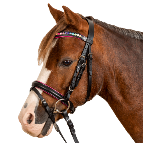 Pink Star Y Trense - Star Horseriding